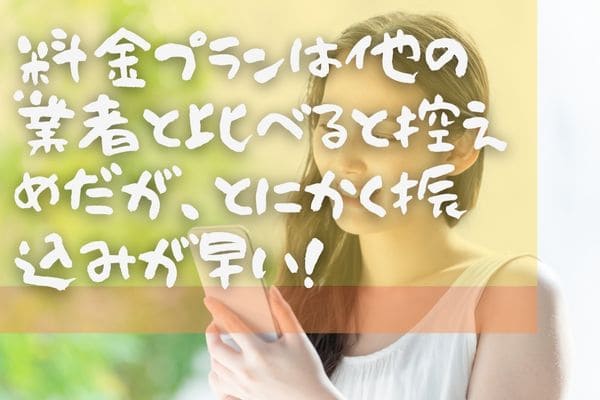 料金プランは他の業者と比べると控えめだが、とにかく振込みが早い